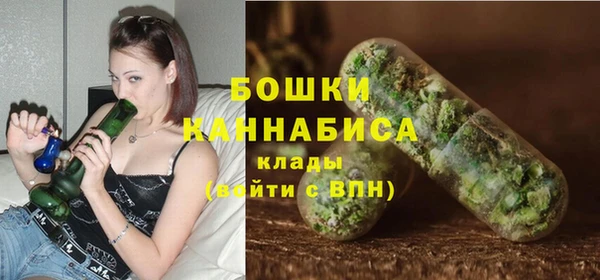 дмт Горнозаводск