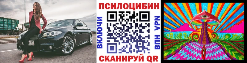 гидра ссылка  Сочи  Галлюциногенные грибы мицелий 